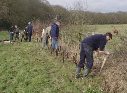 Hedge Planting on Solby Wood Farm by Glyn Baker
